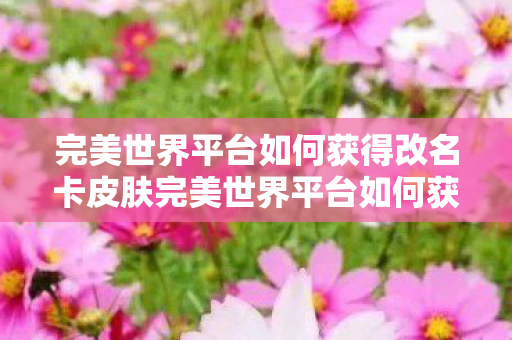 完美世界平台如何获得改名卡皮肤完美世界平台如何获得改名卡，如何在完美世界平台获取改名卡及皮肤