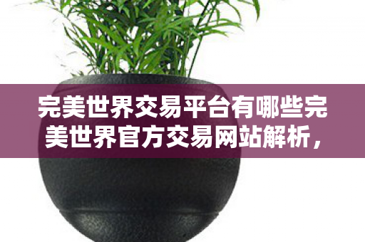 完美世界交易平台有哪些完美世界官方交易网站解析,揭秘完美世界官方交易网站,打造安全、便捷的虚拟物品交易平台 完美世界交易平台有哪些完美世界官方交易网站解析,揭秘完美世界官方交易网站,打造安全、便捷的虚拟物品交易平台