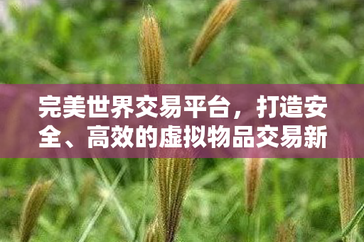完美世界交易平台，打造安全、高效的虚拟物品交易新体验，完美世界交易平台，重塑虚拟物品交易新体验