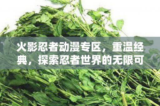 探索忍者世界的无限可能图片