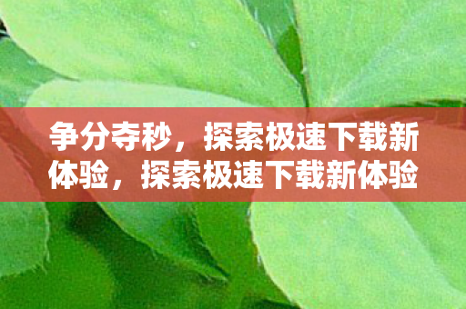 探索极速下载新体验图片