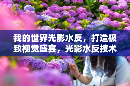 为我的世界带来极致视觉盛宴图片
