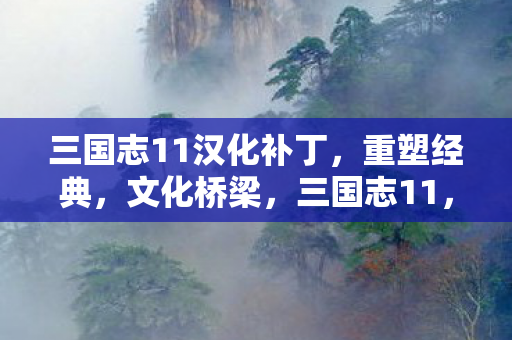 三国志11汉化补丁图片