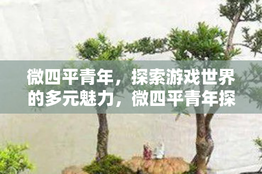 微四平青年探索游戏世界的多元魅力图片