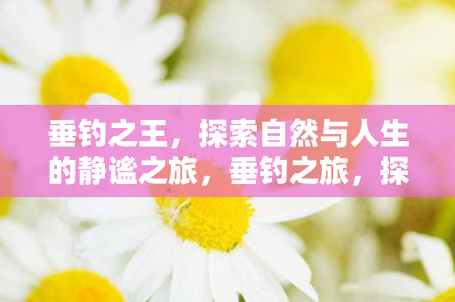 探索自然与人生的静谧之旅图片