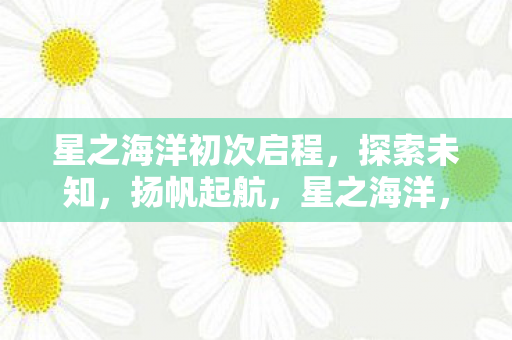 星之海洋初次启程图片