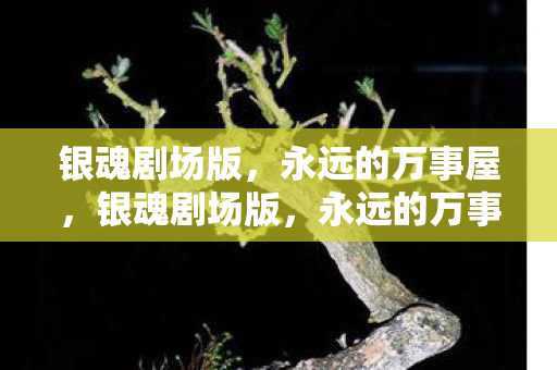 永远的万事屋图片