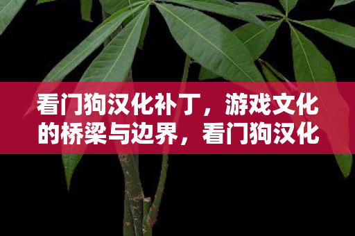 游戏文化的桥梁与边界图片