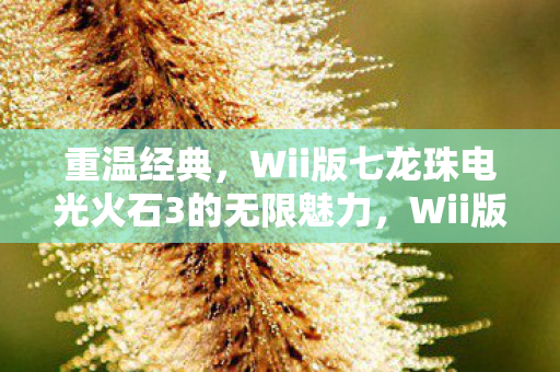 Wii版七龙珠电光火石3的无限魅力图片