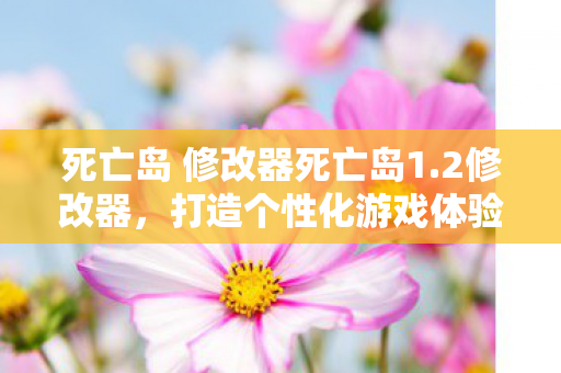 打造个性化游戏体验的利器图片
