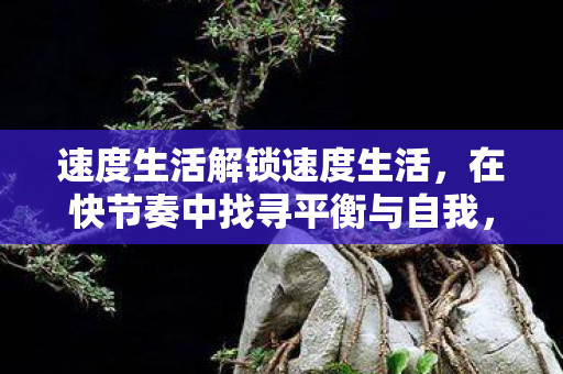 如何在快节奏生活中找到平衡与自我图片