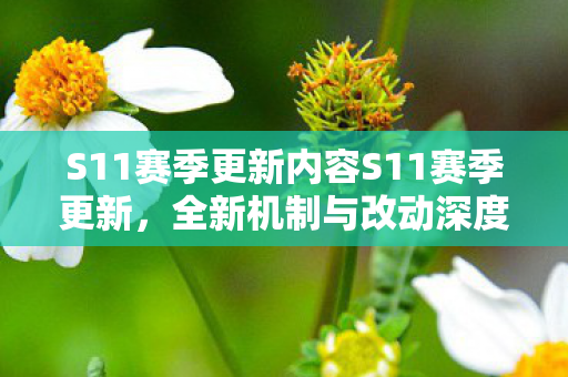 S11赛季更新内容S11赛季更新图片