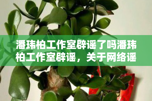 潘玮柏工作室辟谣了吗潘玮柏工作室辟谣图片