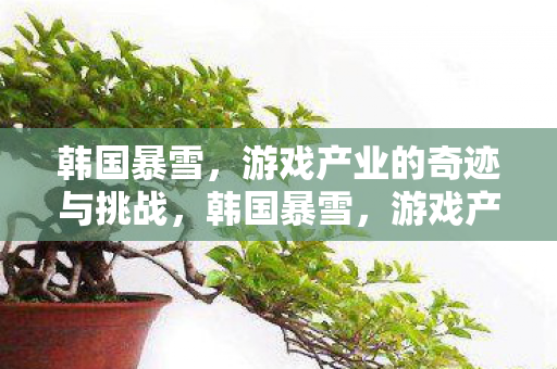 游戏产业的奇迹与挑战图片