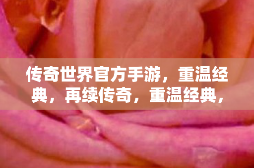 传奇世界官方手游来袭图片