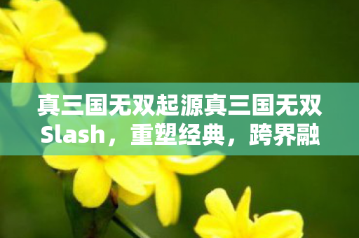 真三国无双起源真三国无双Slash图片