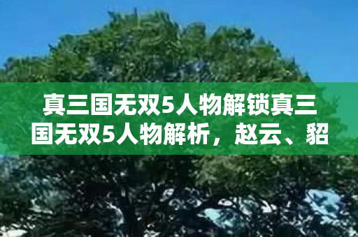 真三国无双5人物解锁真三国无双5人物解析图片
