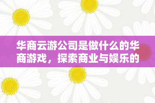 华商云游公司是做什么的华商游戏图片