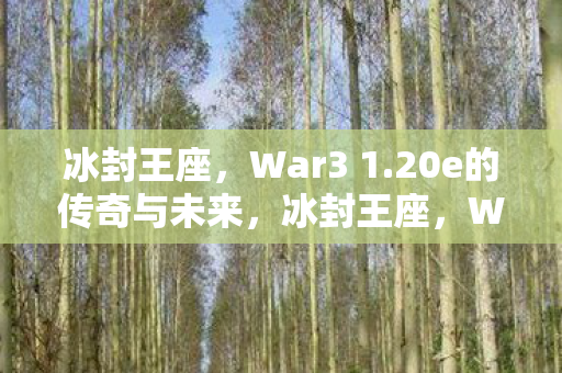 20e的传奇与未来展望图片