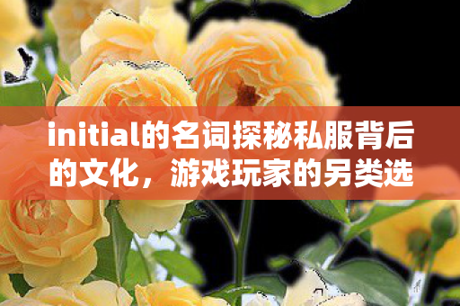 initial的名词探秘私服背后的文化图片