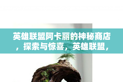 英雄联盟阿卡丽的神秘商店图片