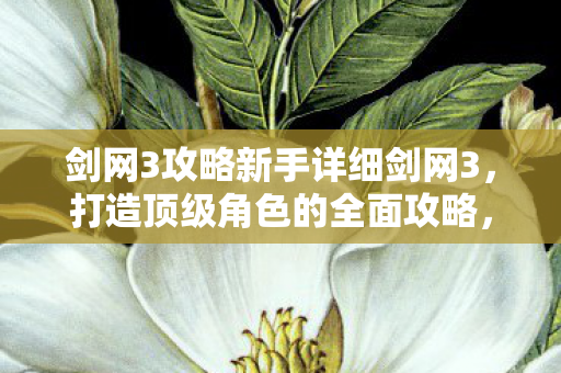 剑网3攻略新手详细剑网3图片