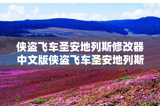 侠盗飞车圣安地列斯修改器中文版侠盗飞车圣安地列斯修改器图片