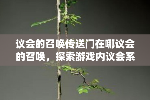 议会的召唤传送门在哪议会的召唤图片