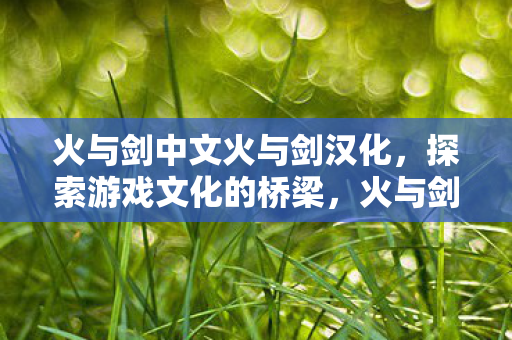 火与剑中文火与剑汉化图片