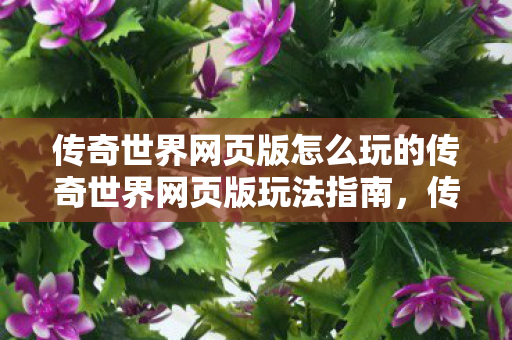 传奇世界网页版怎么玩的传奇世界网页版玩法指南图片