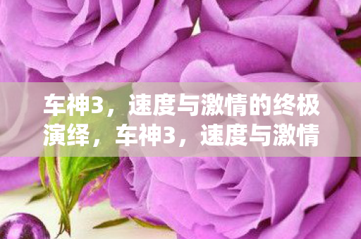 速度与激情的终极演绎图片