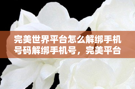 完美世界平台怎么解绑手机号码解绑手机号，完美平台操作指南，完美平台如何解绑手机号码？