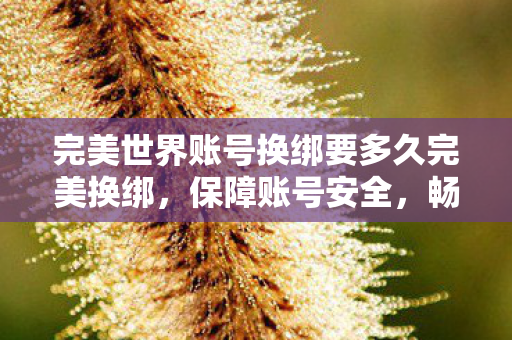 完美世界账号换绑要多久完美换绑,保障账号安全,畅游游戏世界,完美账号换绑流程与时间详解 完美世界账号换绑要多久完美换绑,保障账号安全,畅游游戏世界,完美账号换绑流程与时间详解