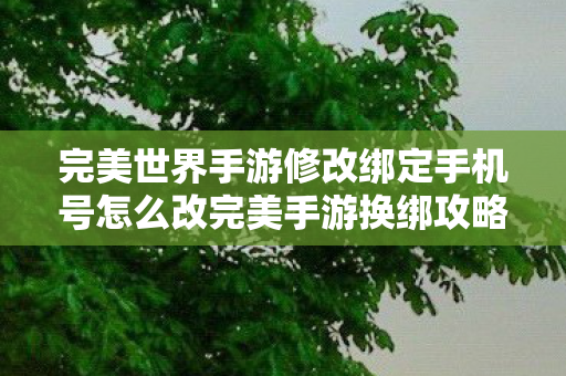 完美世界手游修改绑定手机号怎么改完美手游换绑攻略，轻松修改绑定手机号，完美手游换绑攻略，轻松修改绑定手机号