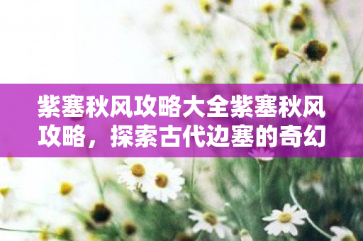 探索古代边塞的奇幻之旅攻略大全图片