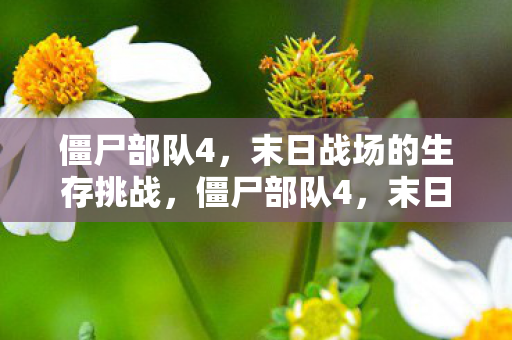 末日战场的生存挑战图片