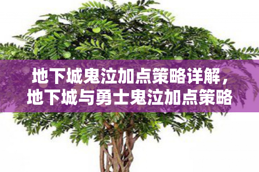 地下城与勇士鬼泣加点策略全解析图片