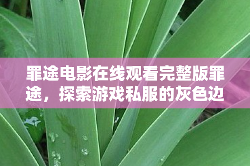 罪途电影在线观看完整版罪途图片