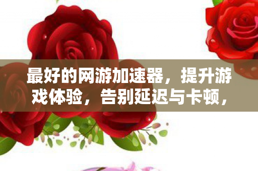 最好的网游加速器图片