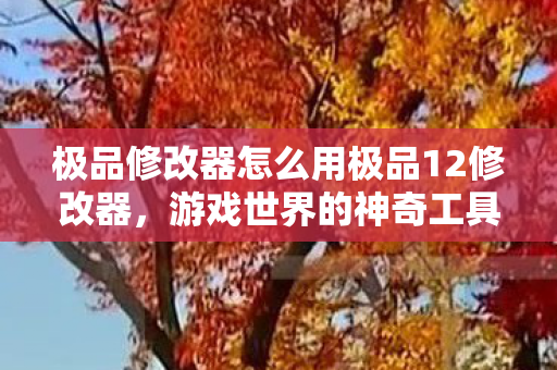 极品修改器怎么用极品12修改器图片