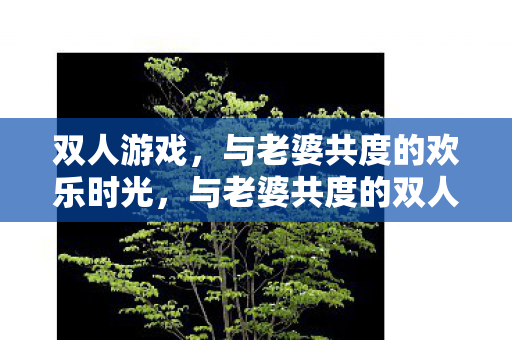 与老婆共度的双人游戏欢乐时光图片