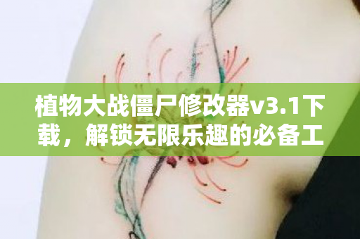 解锁无限乐趣的必备工具下载图片