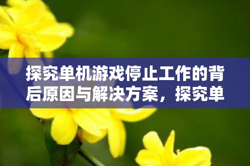 探究单机游戏停止工作的背后原因与解决方案图片