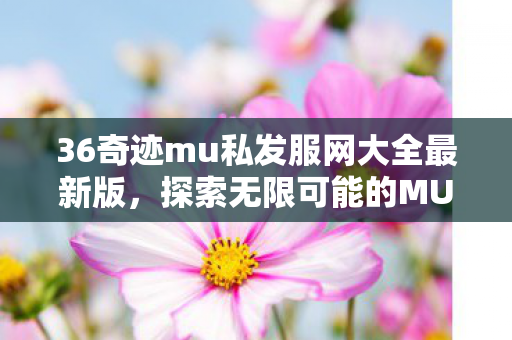 36奇迹mu私发服网大全最新版图片