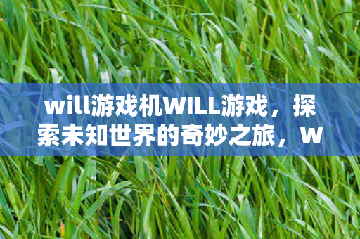will游戏机WILL游戏图片