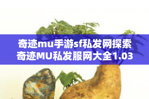 奇迹mu手游sf私发网探索奇迹MU私发服网大全1图片