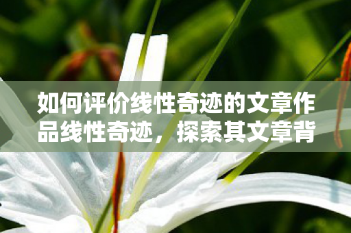 如何评价线性奇迹的文章作品线性奇迹图片