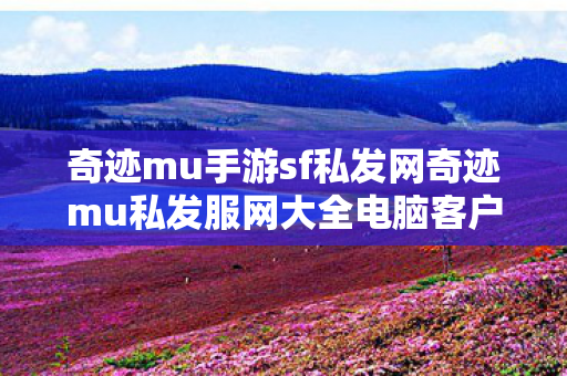 奇迹mu手游sf私发网奇迹mu私发服网大全电脑客户端图片
