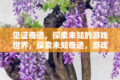 探索未知的游戏世界图片