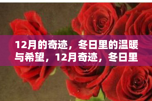 冬日里的温暖与希望图片